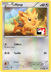 Donphan Lillipup