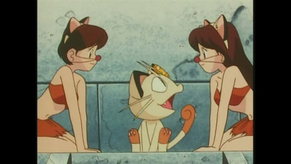 Meowth Rules!