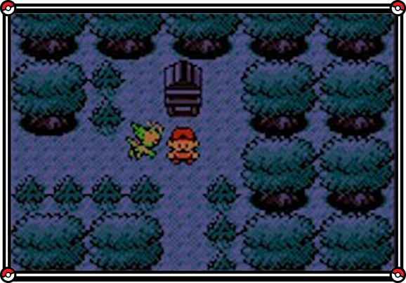 Remember the Region: Johto Spotlight