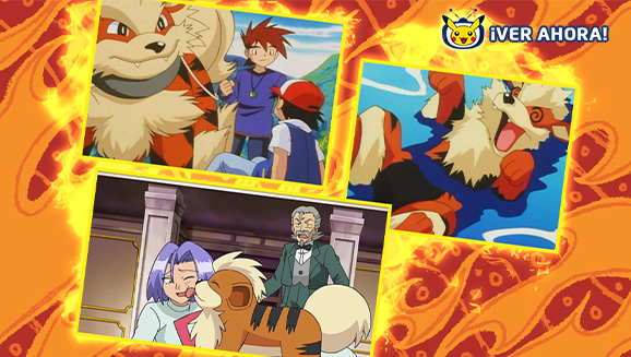 Arcanine arde con fuerza en TV Pokémon en una selección de episodios de la serie Pokémon