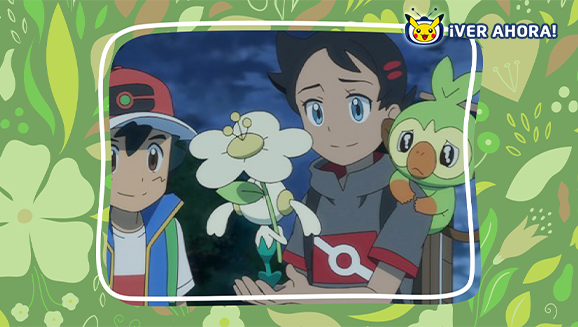 Escoge tu ramo de Pokémon en TV Pokémon