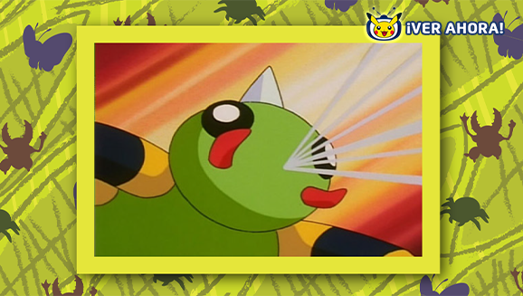 Descubre insectos por doquier con algunos populares Pokémon de tipo Insecto en TV Pokémon