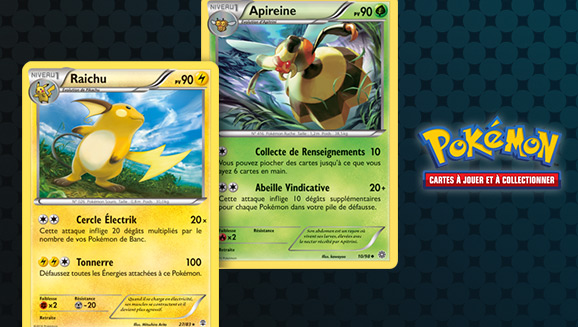 Comment bien ranger ses cartes Pokémon ?