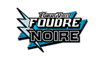 Écarlate et Violet – Foudre Noire