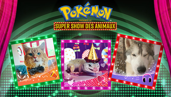 Pokémon présente le Super Show des Animaux, l'occasion pour vos animaux d'épatter la galerie
