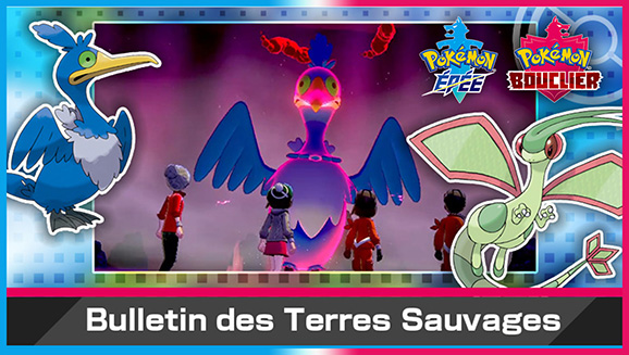 Tous ensemble dans les raids pour la gloire, les cadeaux et Nigosier !