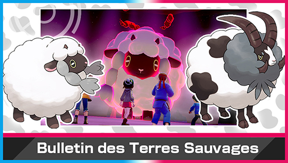 Un troupeau de Moumouton et de Moumouflon s'est égaré dans les raids Dynamax