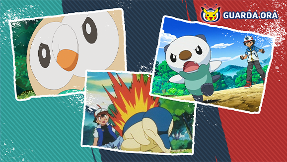 Segui le avventure di Rowlet, Cyndaquil e Oshawott nella serie animata su TV Pokémon