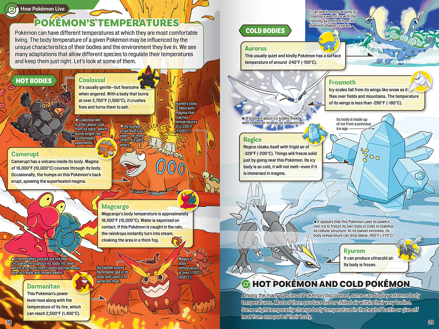 Preorder the Upcoming Book, Pokécology: An Illustrated Guide to