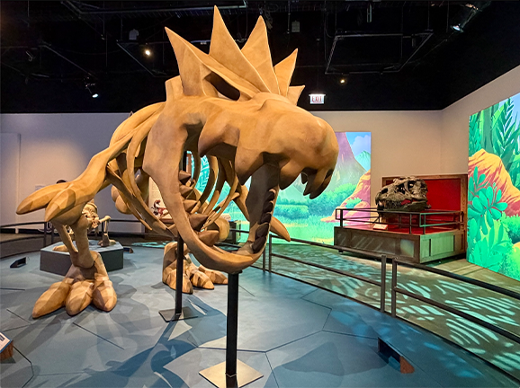 The Pokmon Fossil Museum is Now Open | Pokemon.com The Pokmon Fossil Museum is Now Open | Pokemon.com