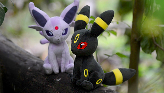 Johto Sitting Cuties Plush Arrive at the Pokémon Center