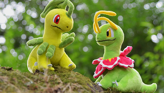 Johto Sitting Cuties Plush Arrive at the Pokémon Center