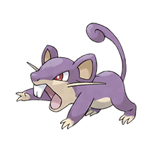 Rattata