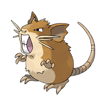 Raticate