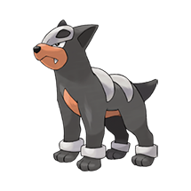 Houndour