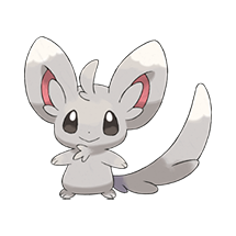 Minccino