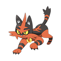 Torracat