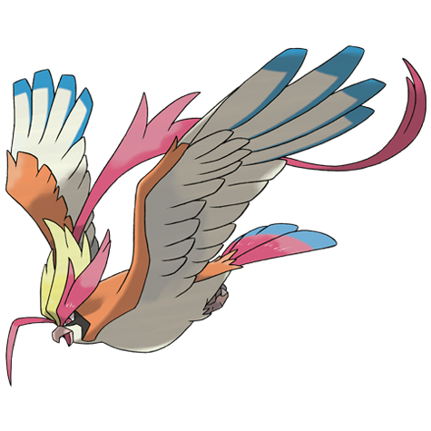 Mega-Pidgeot