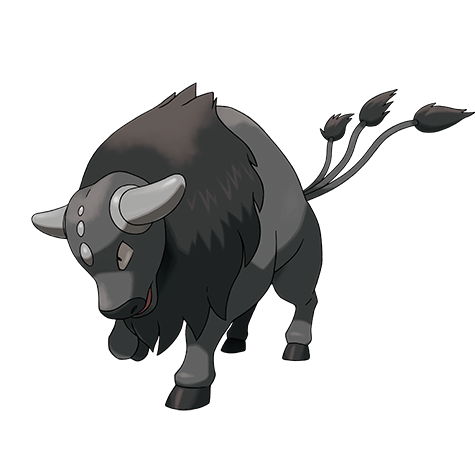 Tauros de Paldea (Race Combative)