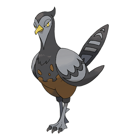 Unfezant Pok dex Unfezant Pok dex