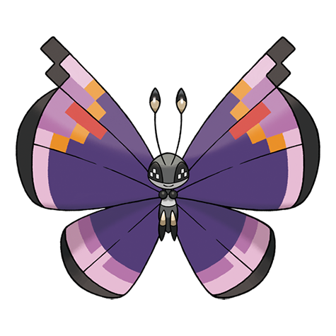 Vivillon Motivo Eleganza