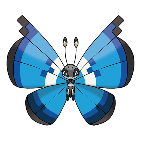 Marine Pattern Vivillon