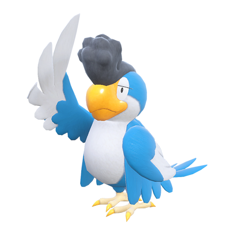 Squawkabilly Plumaje Azul