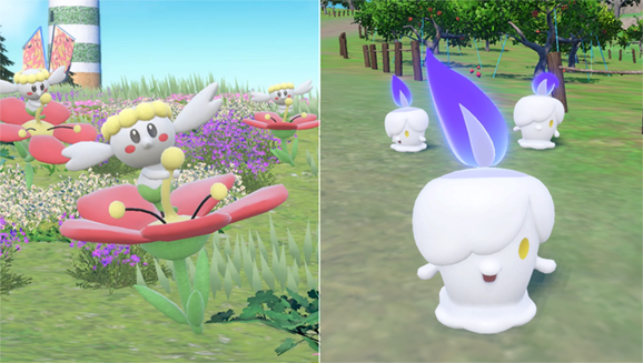 Cattura Flabébé e Litwick in questo evento comparsa massiccia di Pokémon Scarlatto e Pokémon Violetto