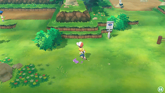 Beginner Tips - Tips and Tricks - Gameplay, Pokémon: Let's Go, Pikachu! & Let's  Go, Eevee!