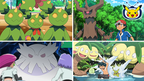 Ash Encounters Tree-Like Pokémon on Pokémon TV