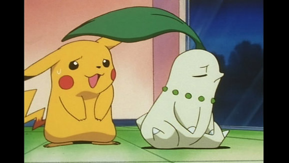 Chikorita está que muerde