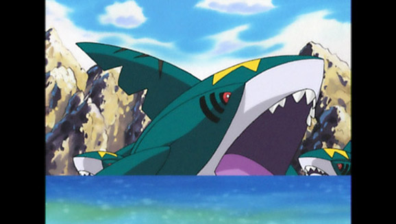 ¡Sharpedo al ataque!