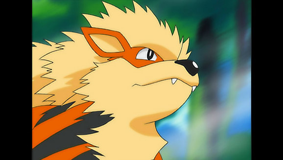 A caccia di Arcanine