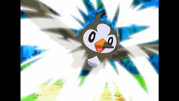 A Staravia Is Born