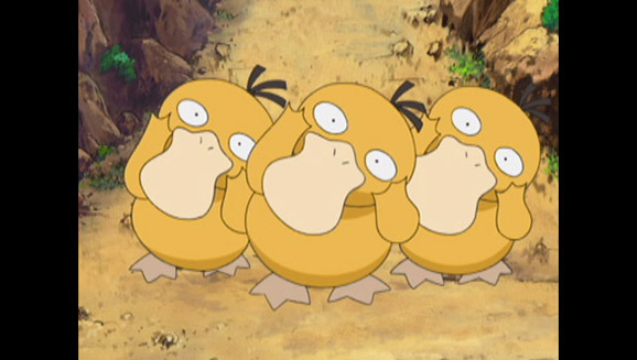 Con gli Psyduck non si passa!