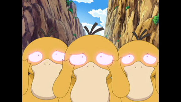 ¡Los Psyduck Llegaron Ya!