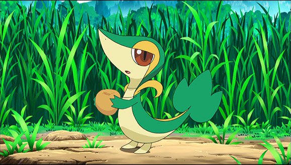 Snivy Plays Hard to Catch!