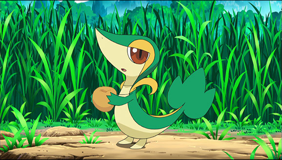 Uno Snivy difficile da catturare!