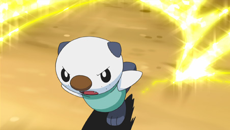 ¡La vieira perdida de Oshawott!