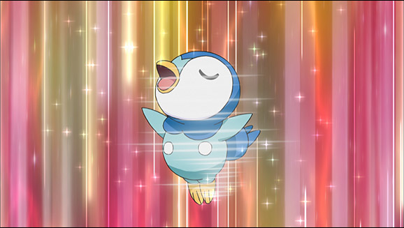 Oshawott E Piplup