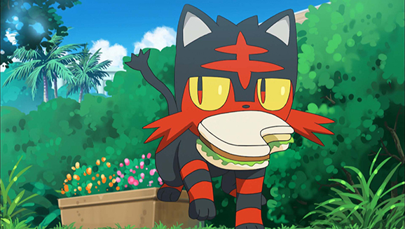 Ecco perché Litten fa il birbante!